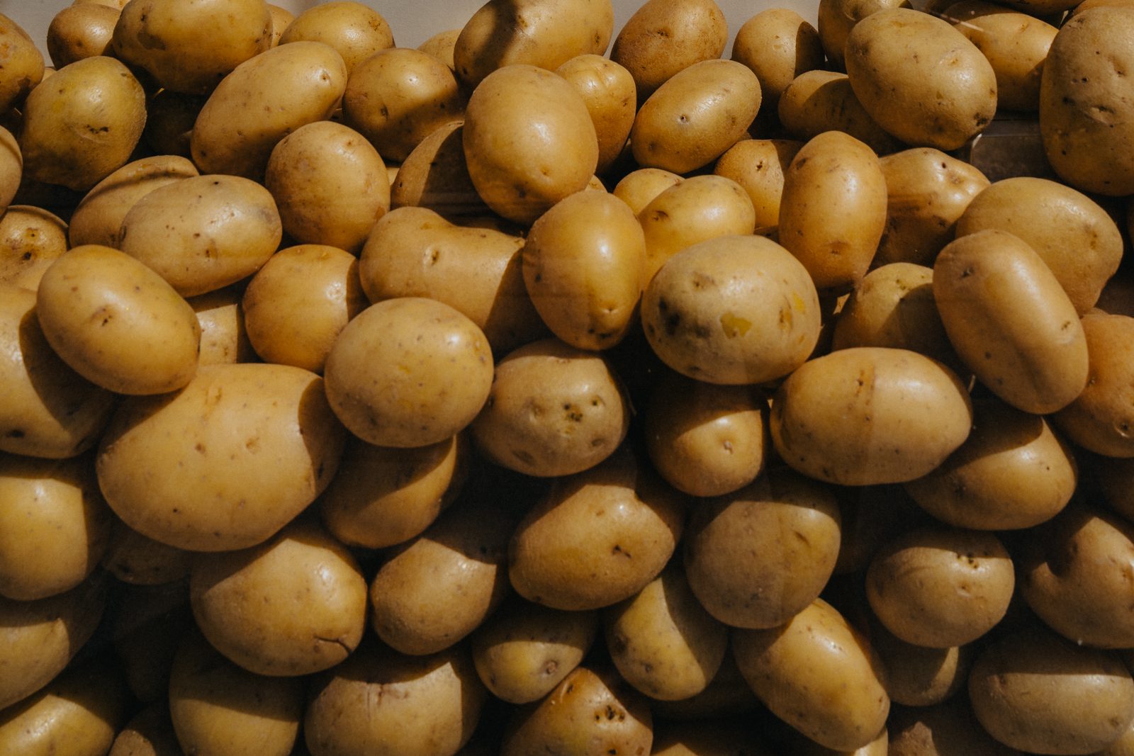 The Potato